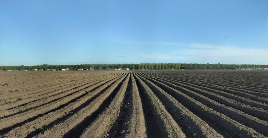 landschap-oosterwold-veld-landbouw-grond