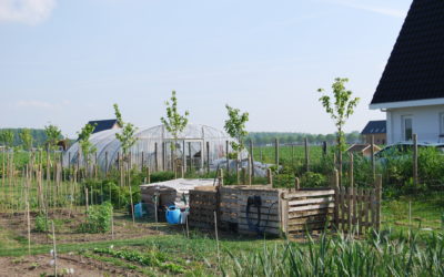 Nieuwsbrief Maak Oosterwold 22 mei 2020