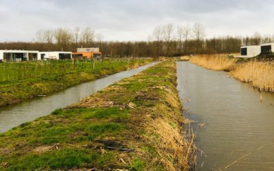 Voorkom natte voeten: maak je sloot schoon van begroeiing