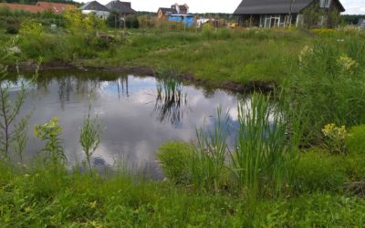 Oosterwold en de geest van de omgevingswet