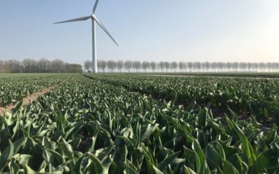 Eigen beleid voor slagschaduwhinder windturbines