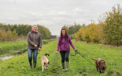 Nieuwsbrief Maak Oosterwold, 27 oktober 2020