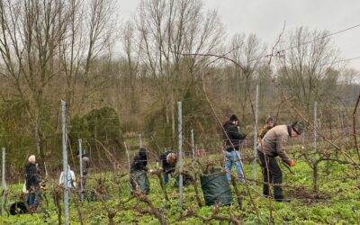 Nieuwsbrief Maak Oosterwold, 26 februari 2021