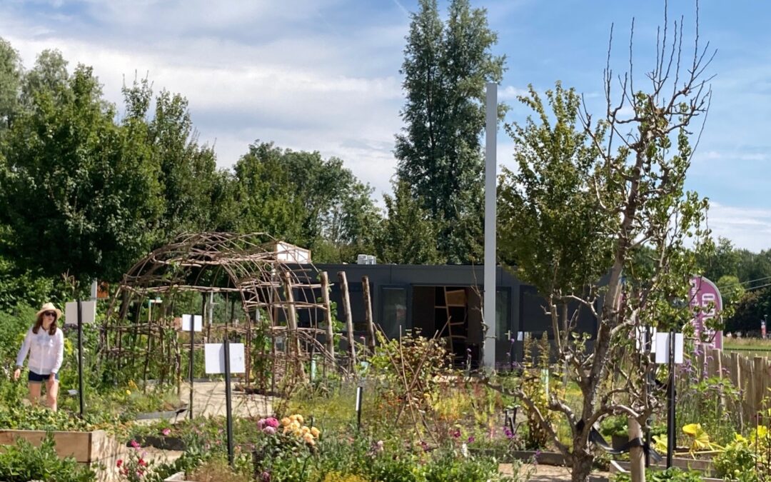 Laatste kans: bezoek Oosterwold The World of Urban Farming op de Floriade