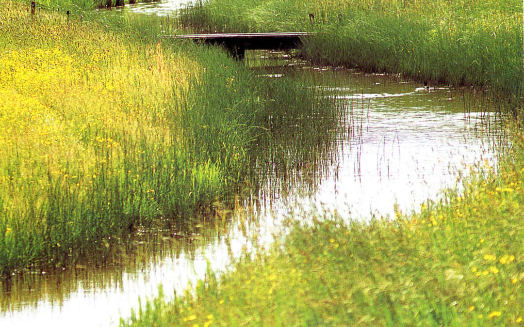 Toekomstbestendige waterhuishouding in Oosterwold