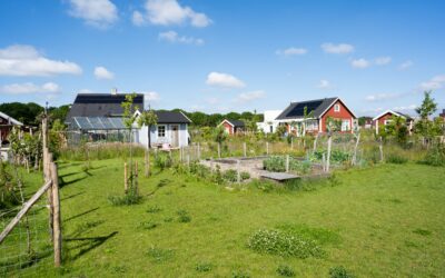 Beschermd Wonen Plus locatie besproken in de raad