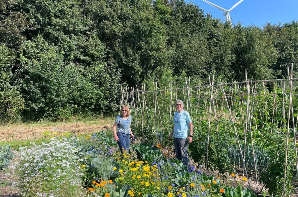 Moestuincursus XL door de Tuinders