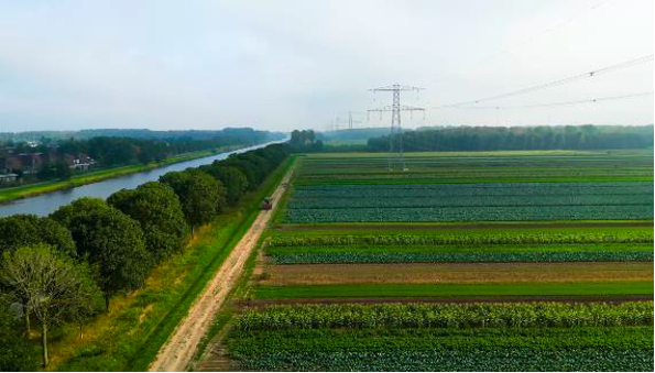 Gewasdiversiteit voor toekomstbestendige landbouw