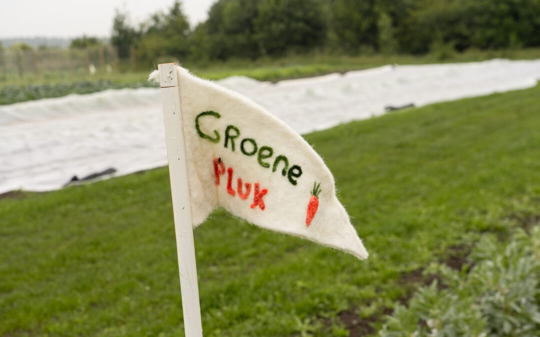 Samen zaaien, samen groeien bij Groene Pluk