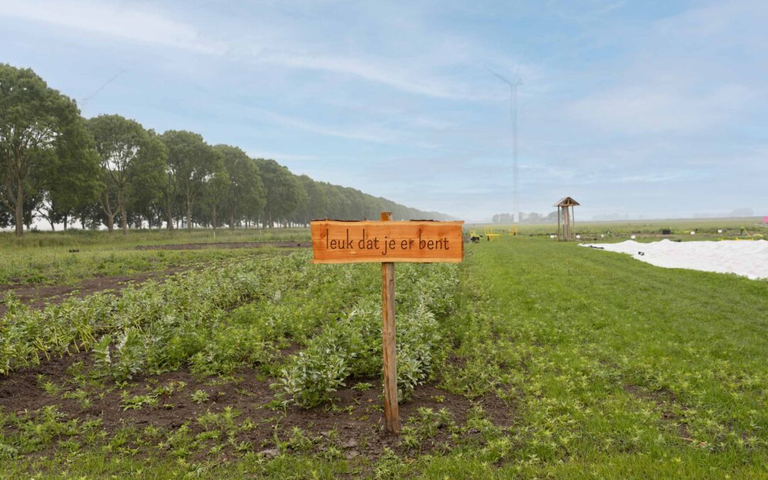 Zelfrapportage-stadslandbouw-Oosterwold-veld-bordje