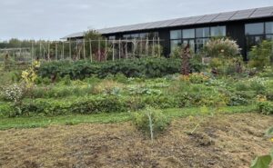 Groene-Eem-stadslandbouw-samen-oosterwold